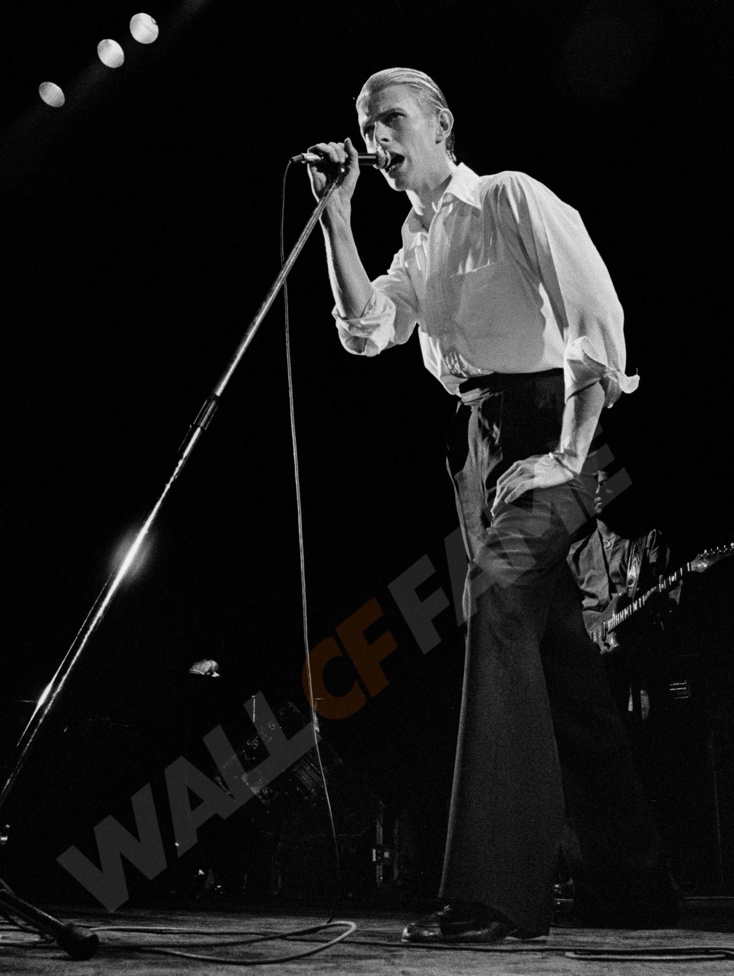 David Bowie 1976
