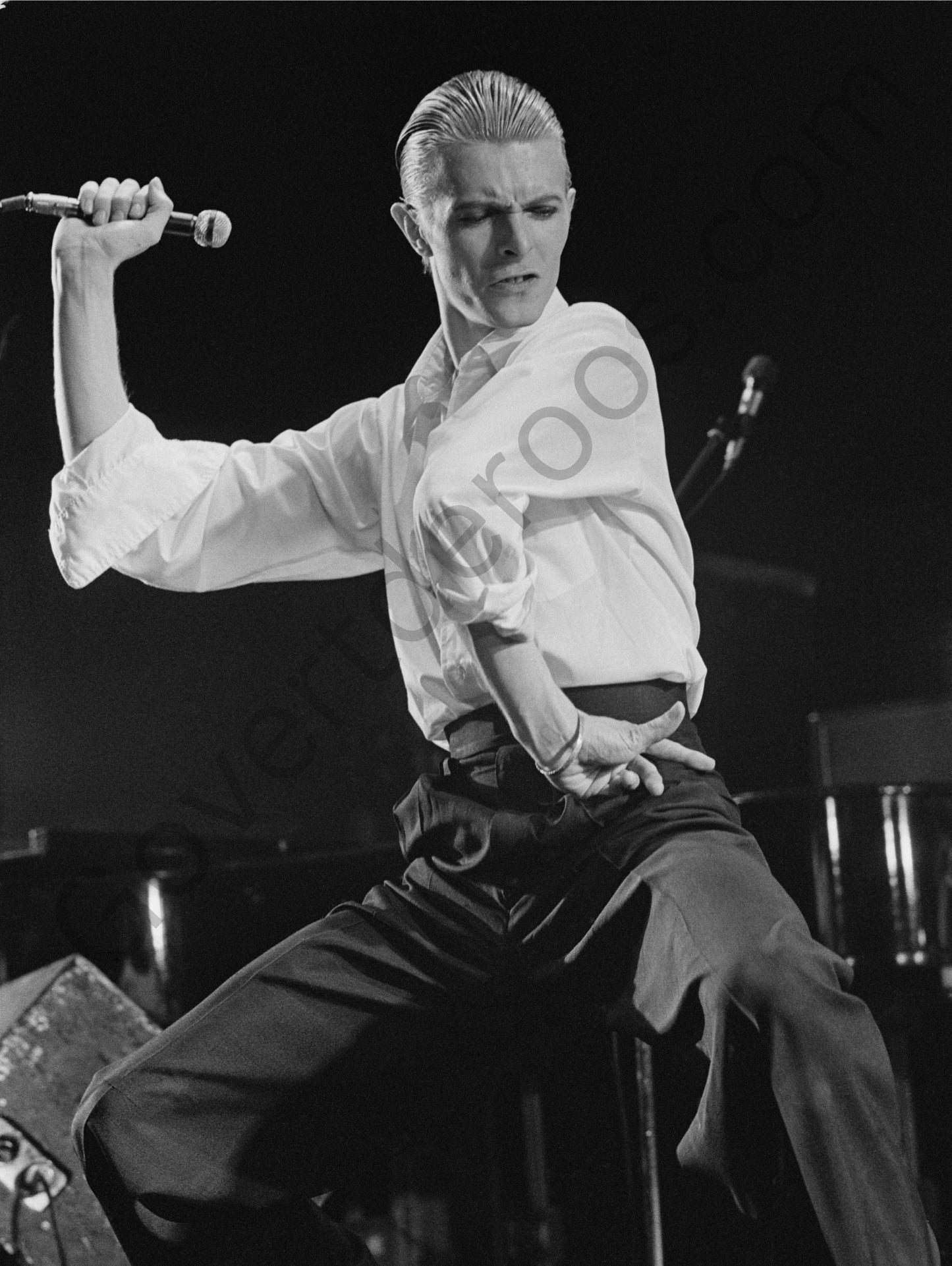 David Bowie