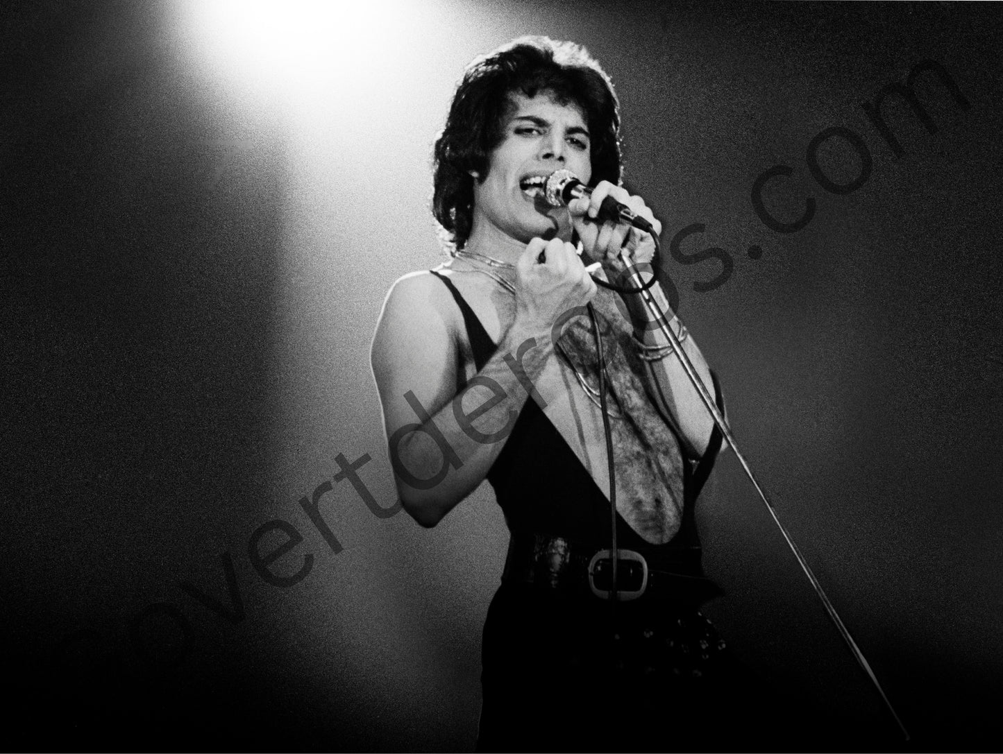 (QUEEN) Freddie Mercury