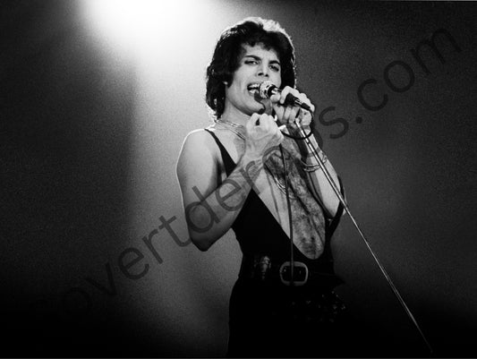 (QUEEN) Freddie Mercury